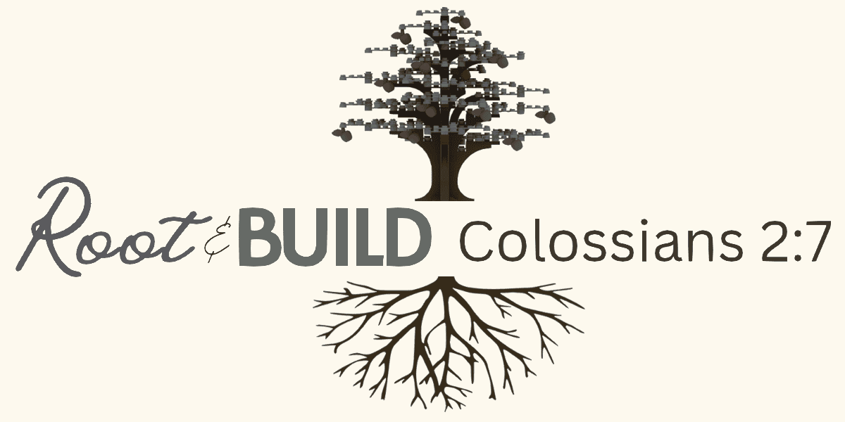 Root & Build